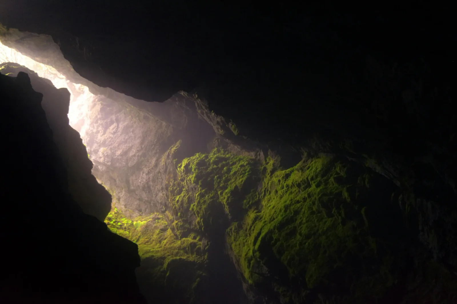 Daylight entering a mossy cave opening
